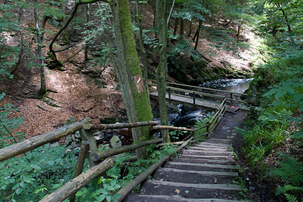 ardennen belgie natuur natuurgebied bos bossen eifel gebergte wandelen fietsen kanoen kasteel hdr hdr